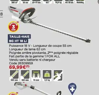 Bricomarché Taille-Haie offre