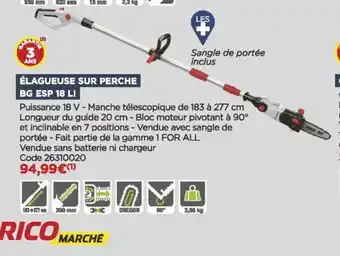 Élagueuse Sur Perche