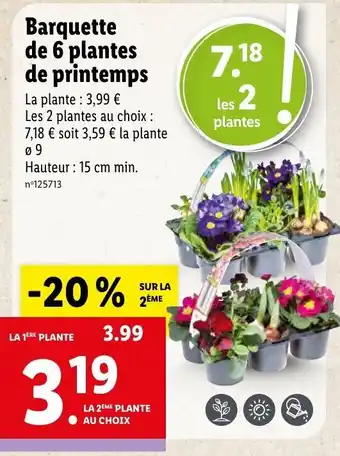 Lidl Barquette de 6 Plantes offre