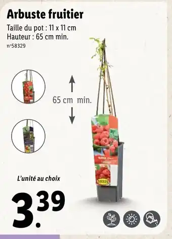 Lidl Arbuste Fruitier offre