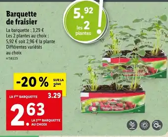 Lidl Barquette de Fraisier offre