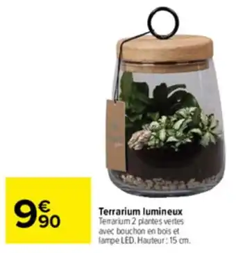 Carrefour Terrarium lumineux offre
