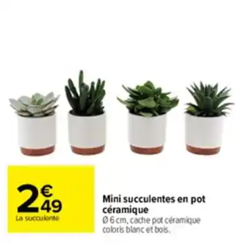Carrefour Mini succulentes en pot céramique offre