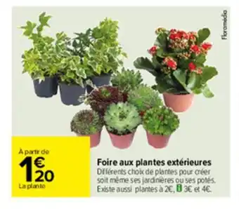 Foire Aux Plantes Extérieures