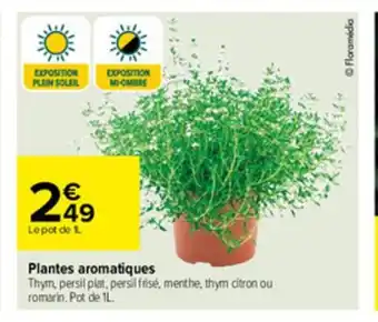 Carrefour Plantes Aromatiques offre