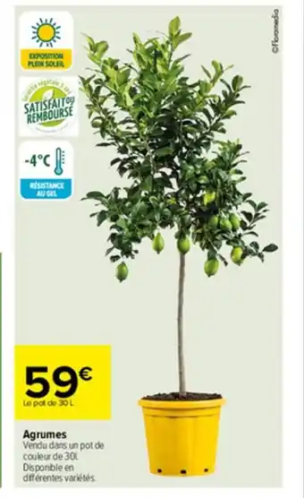 Carrefour Agrumes offre