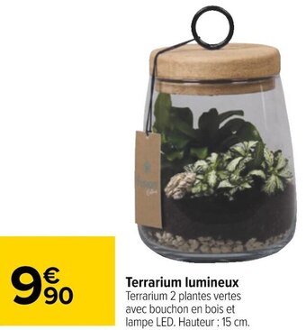 Terrarium lumineux
