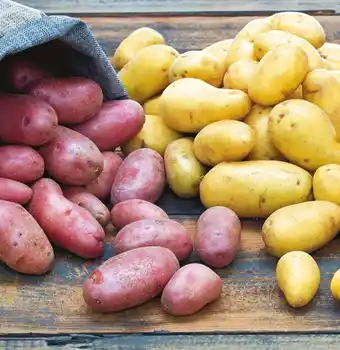 Auchan POMMES DE TERRE DE CONSOMMATION AUCHAN BLONDES OU ROUGES offre