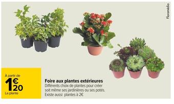 Carrefour Foire aux plantes extérieures offre