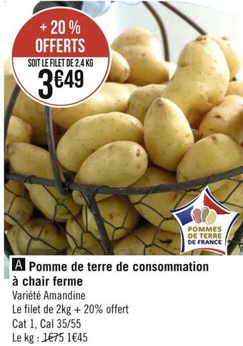 Pomme de terre de consommation à chair ferme