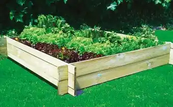 Auchan CARRÉ POTAGER offre