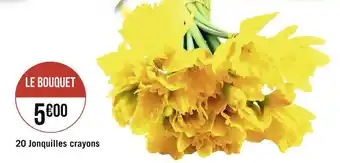 20 jonquilles crayons