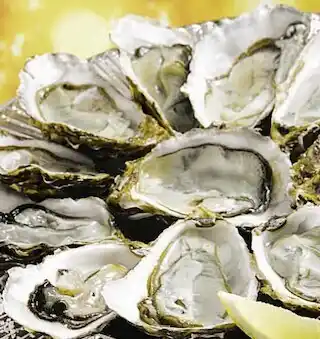 Huîtres spéciales d’Arcachon n°3