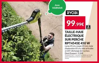 Les Briconautes Taille-haie électrique sur perche offre