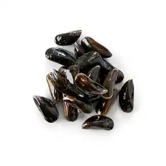 Match Moules de hollande offre
