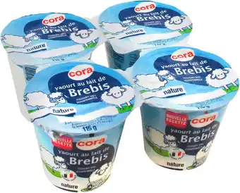 Match Cora yaourt au lait de brebis offre