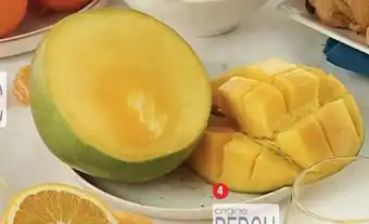 Mangue
