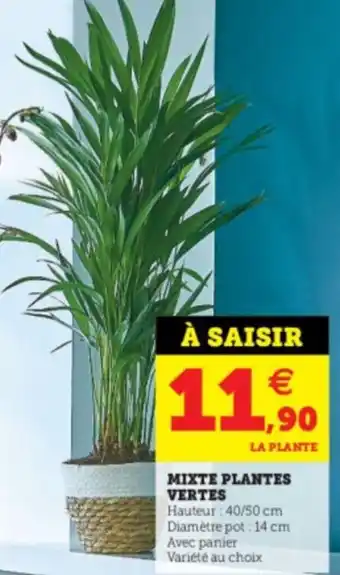 U Express Mixte plantes vertes offre