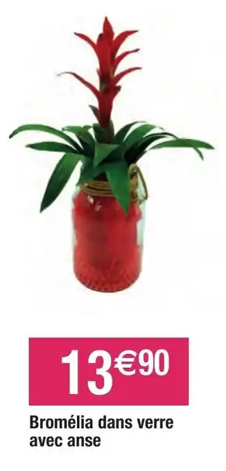 Migros Bromélia dans verre avec anse offre