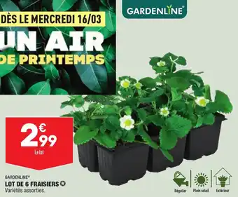 ALDI Lot de 6 fraisiers offre