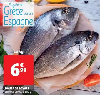 Auchan daurade royale offre