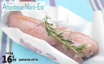 Auchan Queue de lotte offre