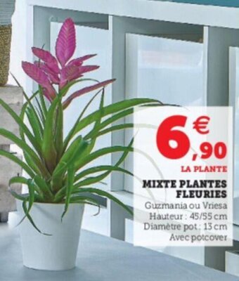 Super U Mixte Plantes Fleuries offre