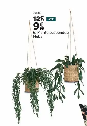 BUT Plante Suspendue Neba offre