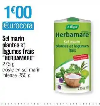 Cora x Carrefour Sel Marin Plantes Et Légumes Et Légumes Frais offre