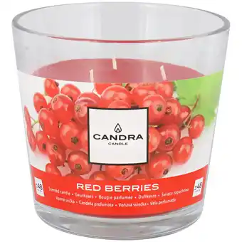 Action Candra bougie parfumée candra offre