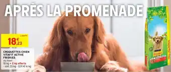 Intermarché Croquettes chien vitafit active frieskies offre