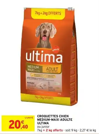 Intermarché Croquettes chien medium-maxi adulte ultima offre