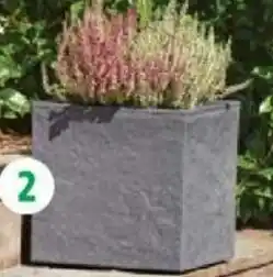 Intermarché Pot Carre Volcania Up 29,5 cm Eda offre