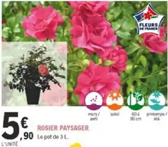 E.Leclerc Jardi Rosier Paysager offre