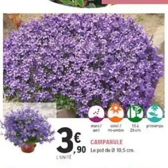 E.Leclerc Jardi Campanule offre