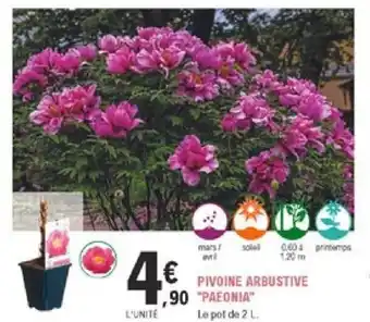 E.Leclerc Jardi Pivoine Arbustive offre