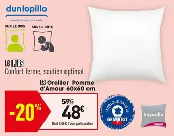Conforama Oreiller Pomme offre