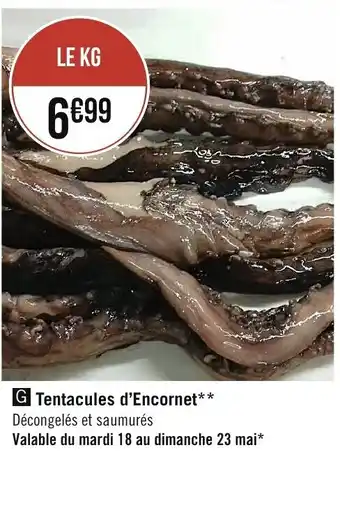 Tentacules d'Encornet