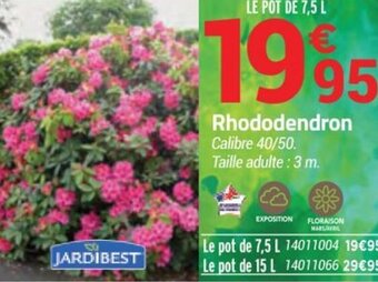 Bricorama Rhododendron offre