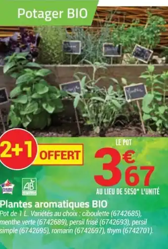 Bricorama Plantes aromatiques BIO offre