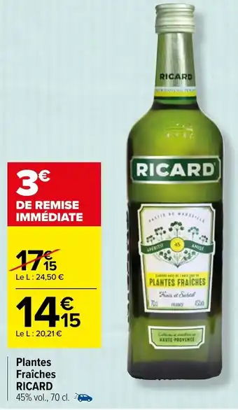 Carrefour Plantes fraiches RICARD offre