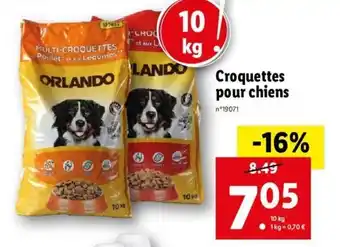 Lidl Croquettes pour chiens offre