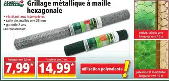 Grillage Métallique à Maille