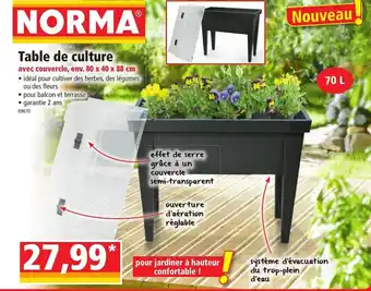 Norma Table de Culture offre