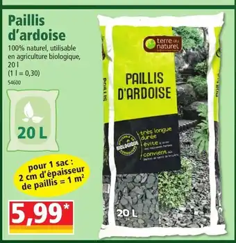 Norma Paillis d'Ardoise offre