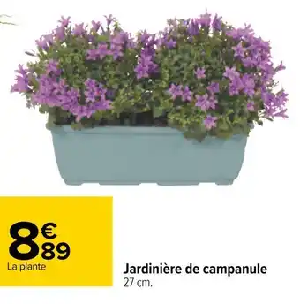 Carrefour Jardinière de campanule offre