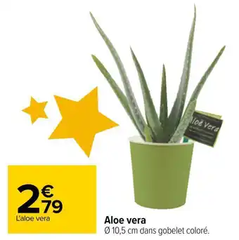 Carrefour Aloe vera offre