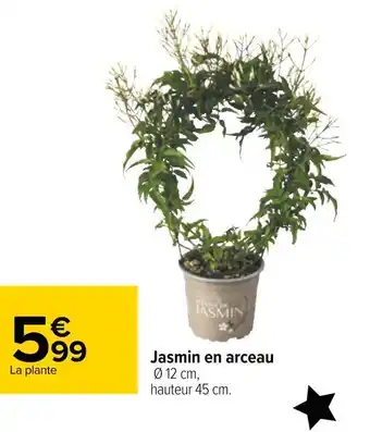 Carrefour Jasmin en arceau offre