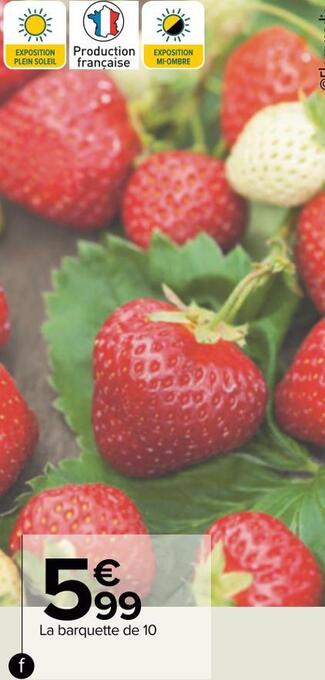 Fraisier