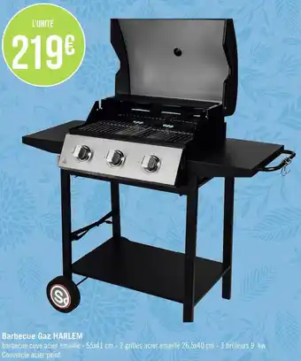Géant Casino Barbecue gaz harlem offre